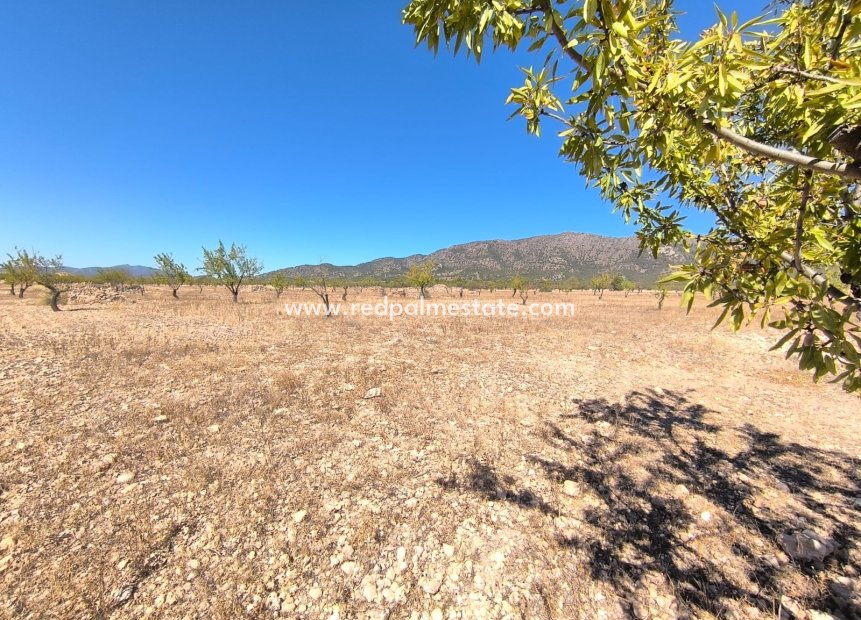 Videresalg - Plott -
Monóvar/Monóver - Inland