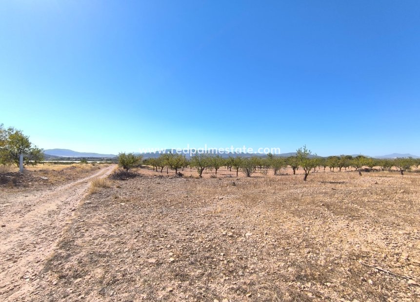 Videresalg - Plott -
Monóvar/Monóver - Inland