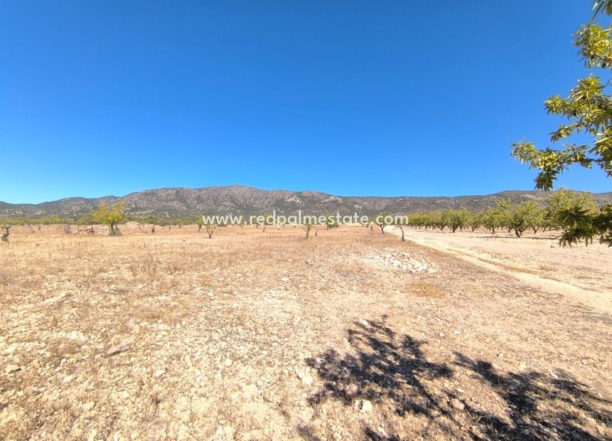 Videresalg - Plott -
Monóvar/Monóver - Inland