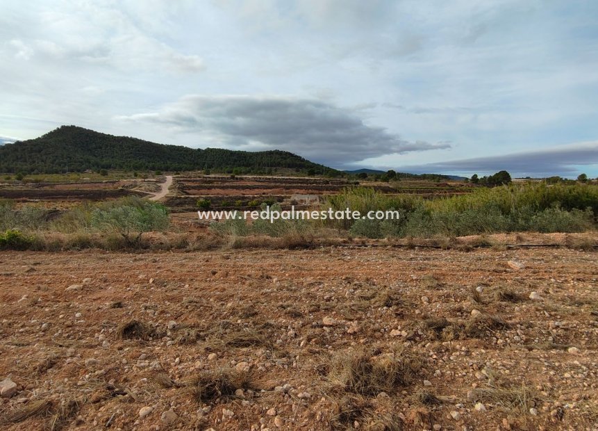 Videresalg - Plott -
Monóvar/Monóver - Inland