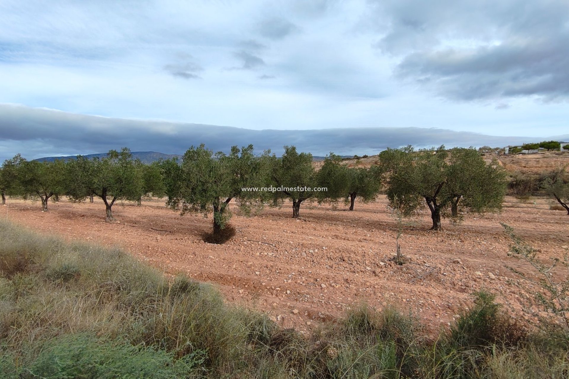 Videresalg - Plott -
Monóvar/Monóver - Inland