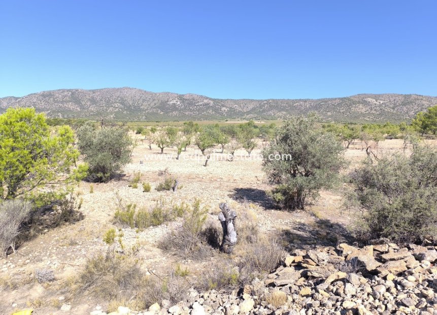 Videresalg - Plott -
Monóvar/Monóver - Inland