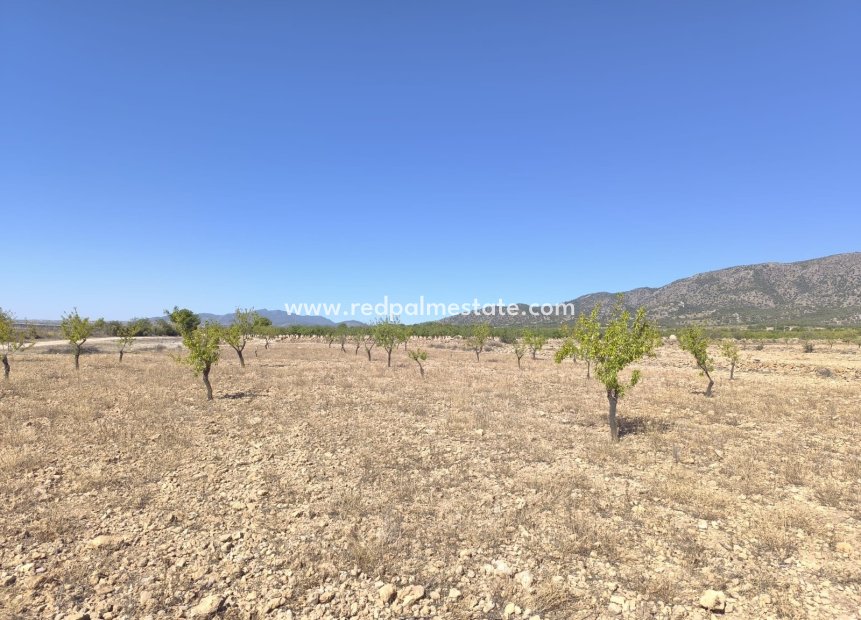 Videresalg - Plott -
Monóvar/Monóver - Inland