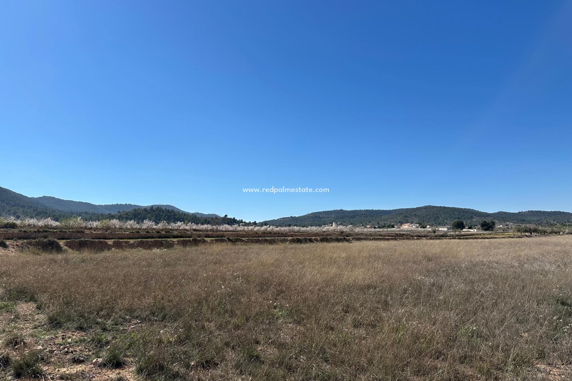 Videresalg - Plott -
Monóvar/Monóver - Inland