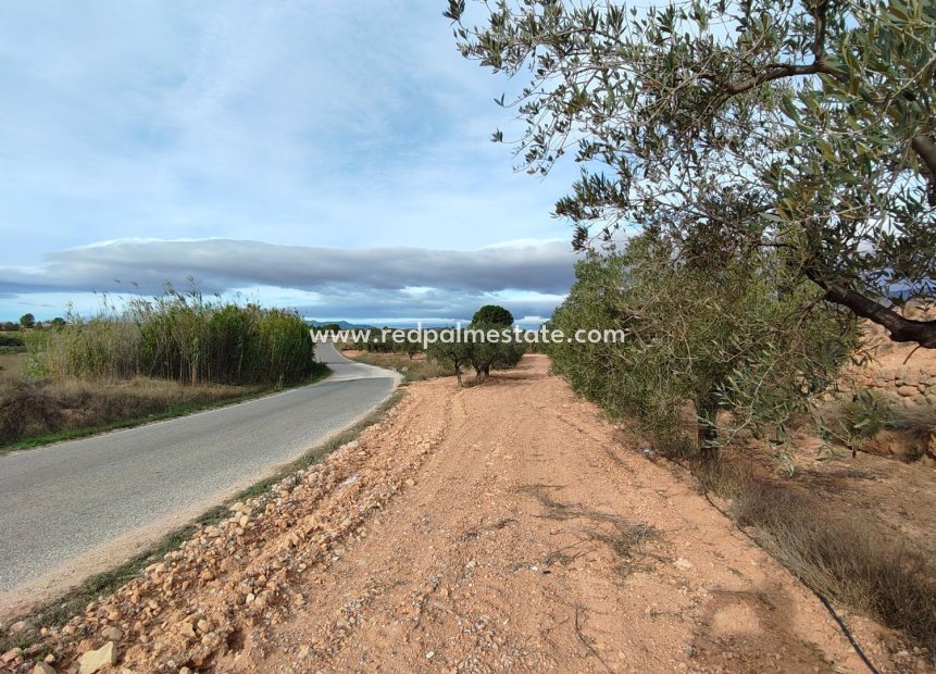 Videresalg - Plott -
Monóvar/Monóver - Inland