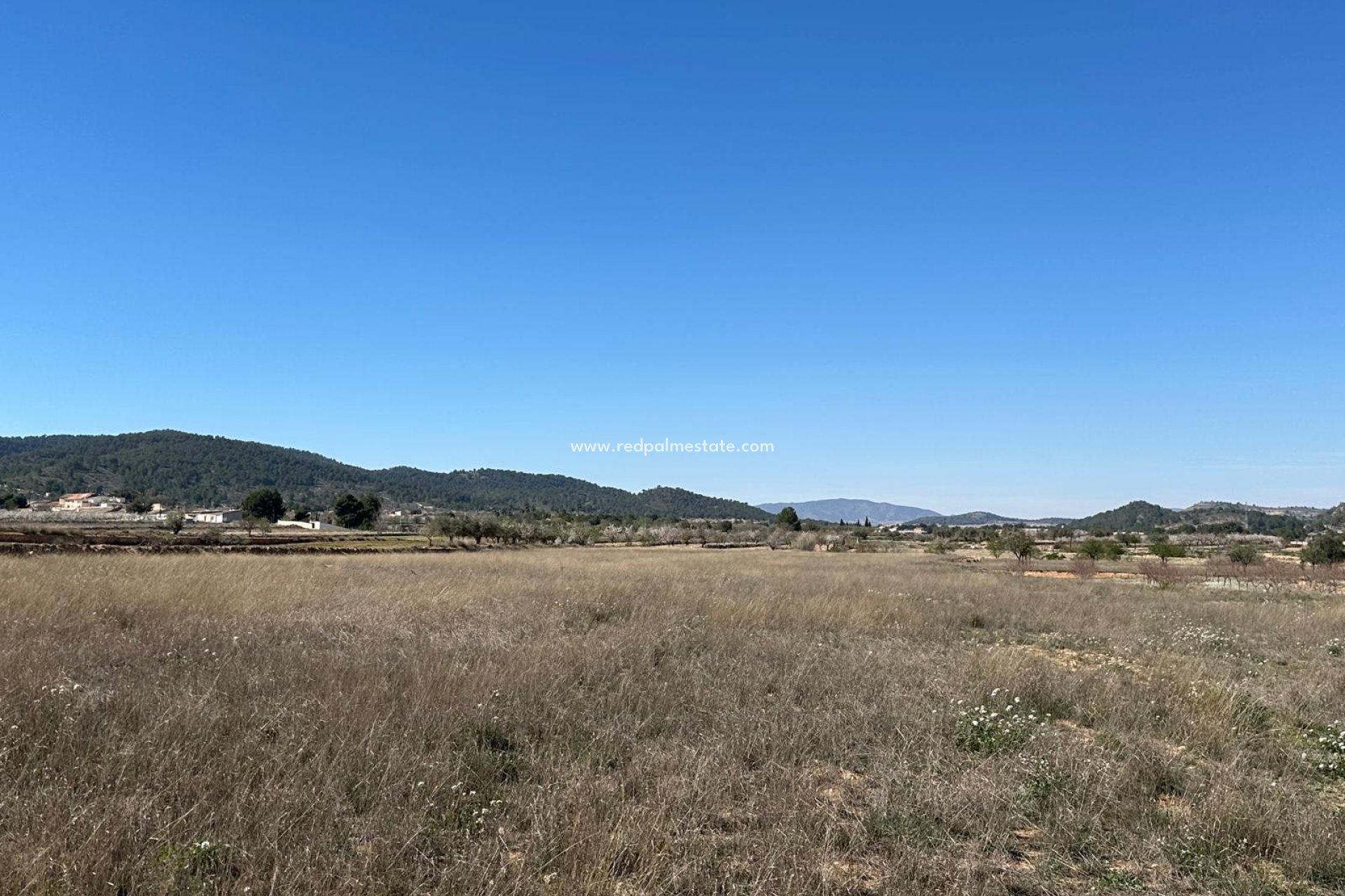 Videresalg - Plott -
Monóvar/Monóver - Inland