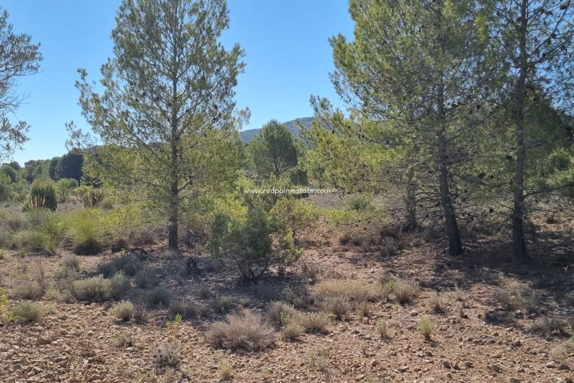 Videresalg - Plott -
Monóvar/Monóver - Inland