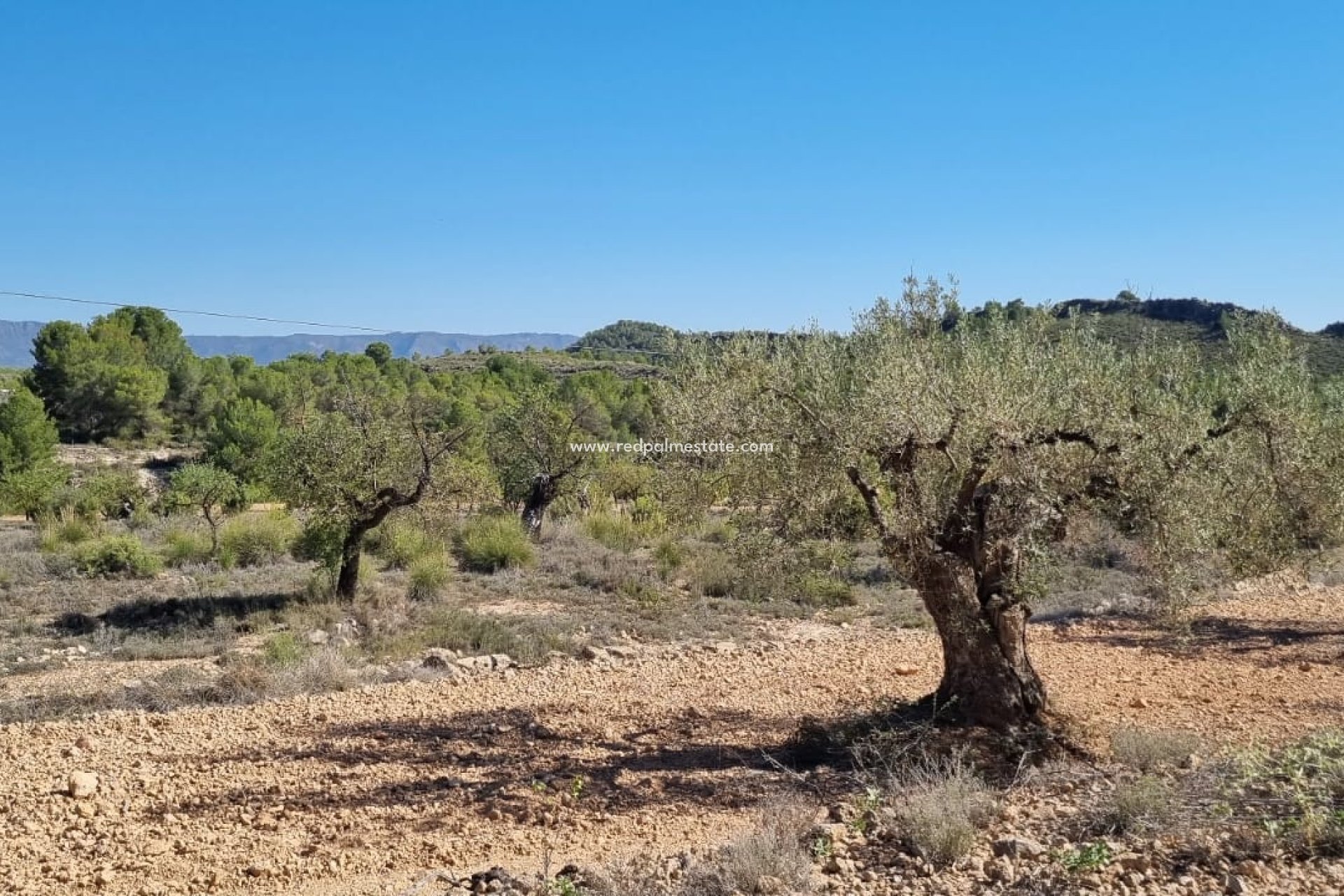 Videresalg - Plott -
Monóvar/Monóver - Inland