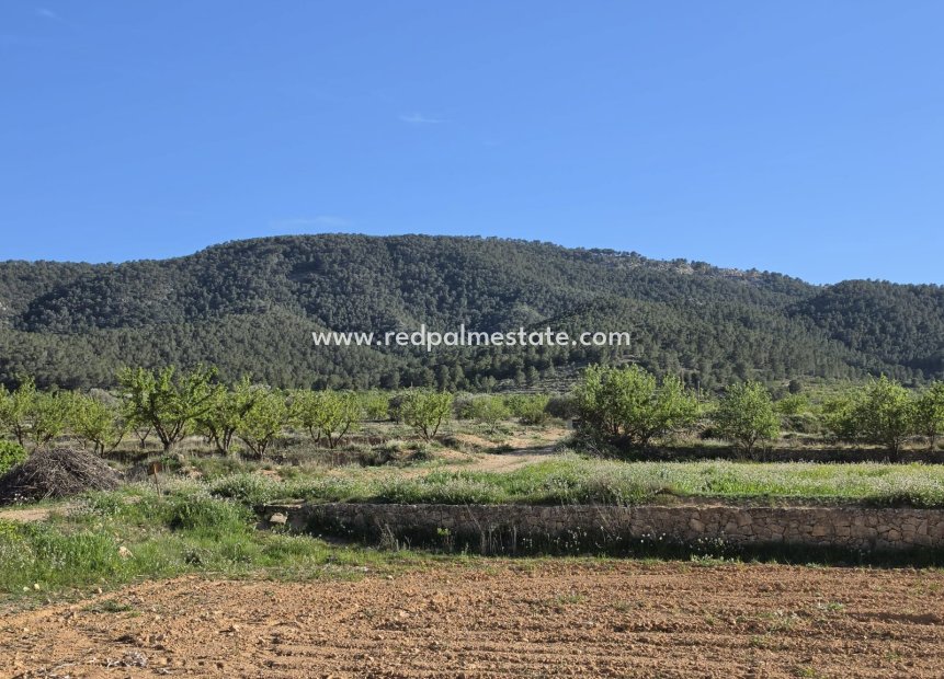 Videresalg - Plott -
Monóvar/Monóver - Inland