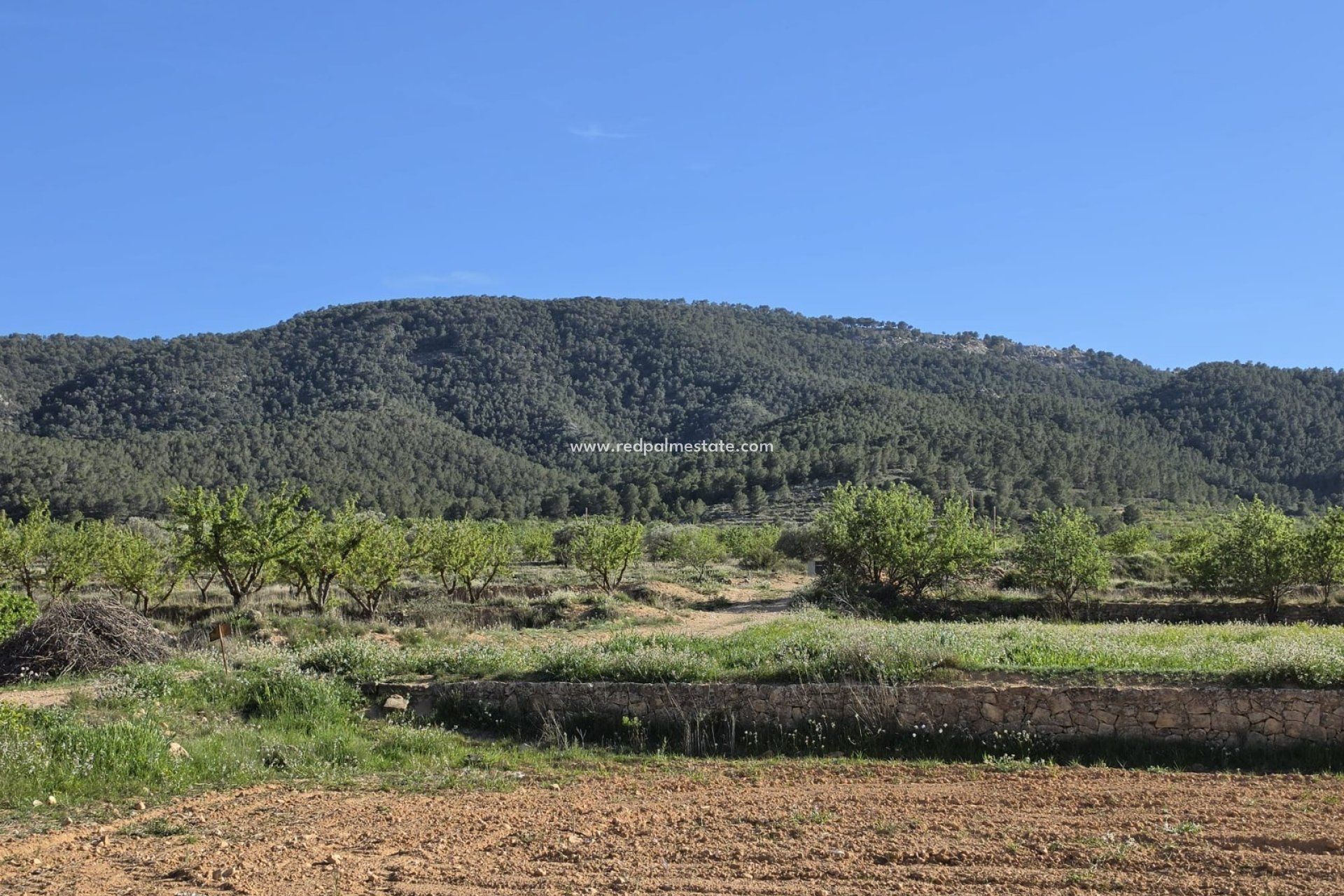 Videresalg - Plott -
Monóvar/Monóver - Inland
