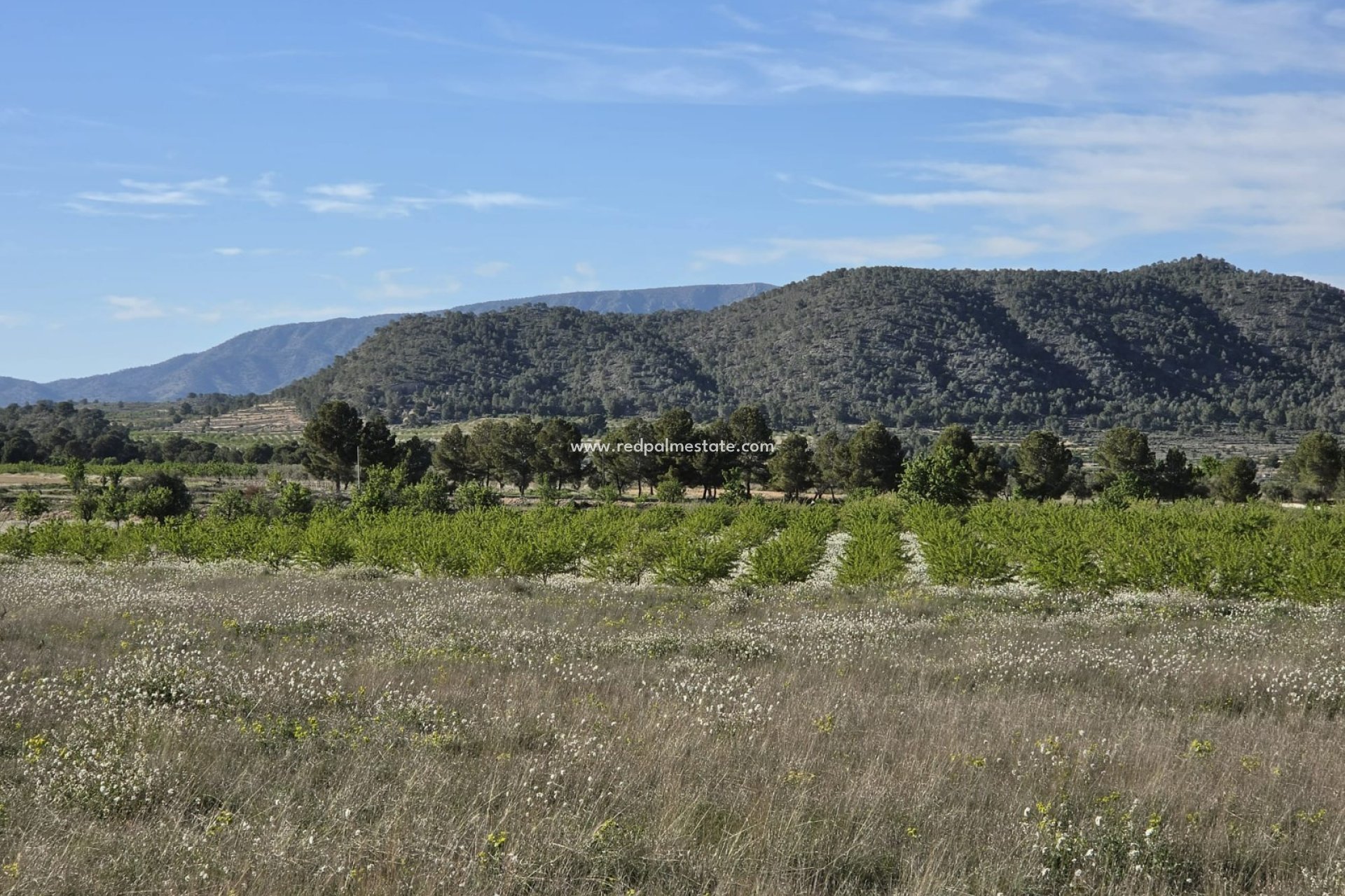 Videresalg - Plott -
Monóvar/Monóver - Inland