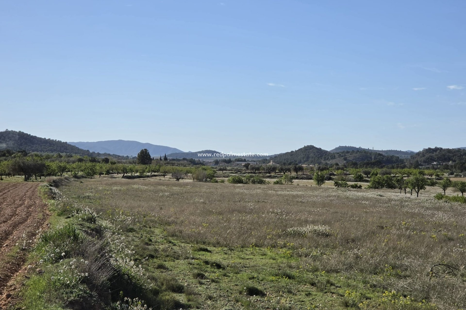 Videresalg - Plott -
Monóvar/Monóver - Inland