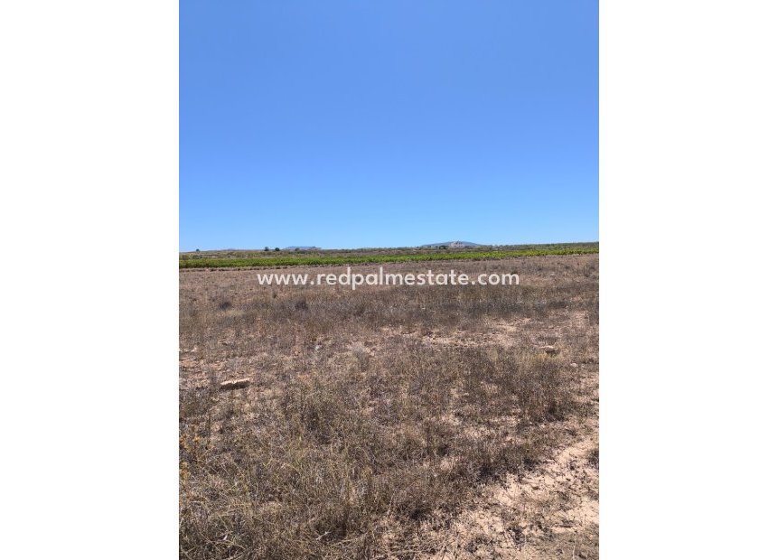 Videresalg - Plott -
Pinoso - Inland