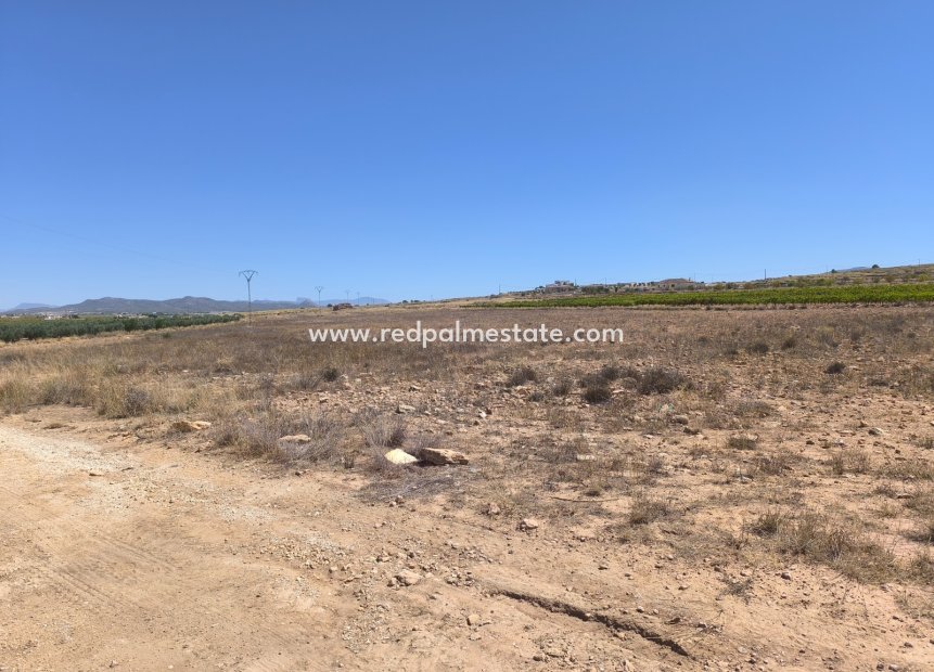 Videresalg - Plott -
Pinoso - Inland