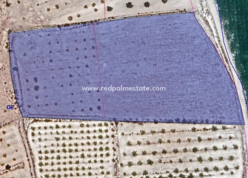 Videresalg - Plott -
Pinoso - Inland