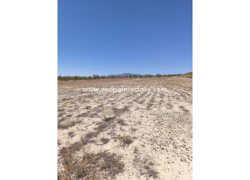 Videresalg - Plott -
Pinoso - Inland