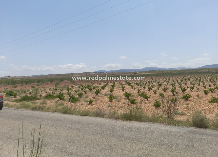Videresalg - Plott -
Pinoso - Inland