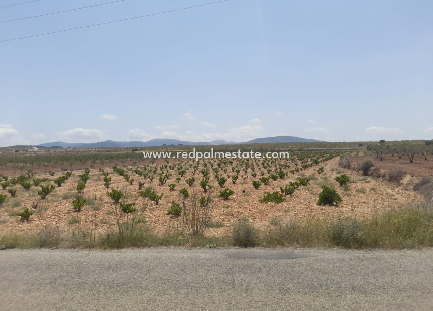 Videresalg - Plott -
Pinoso - Inland