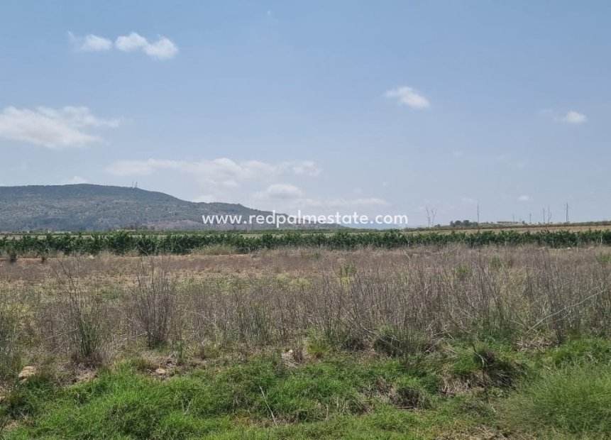 Videresalg - Plott -
Pinoso - Inland