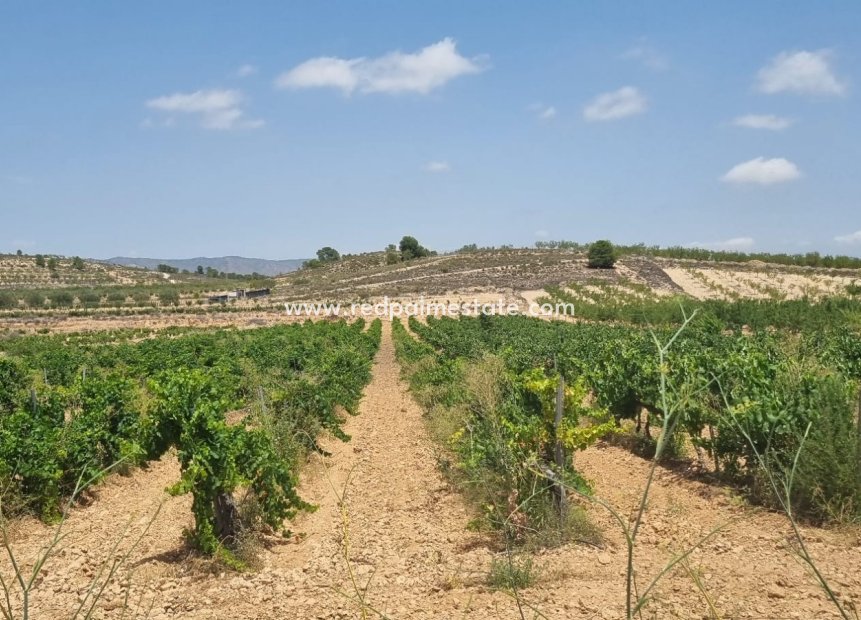 Videresalg - Plott -
Pinoso - Inland