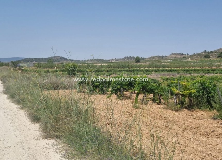 Videresalg - Plott -
Pinoso - Inland