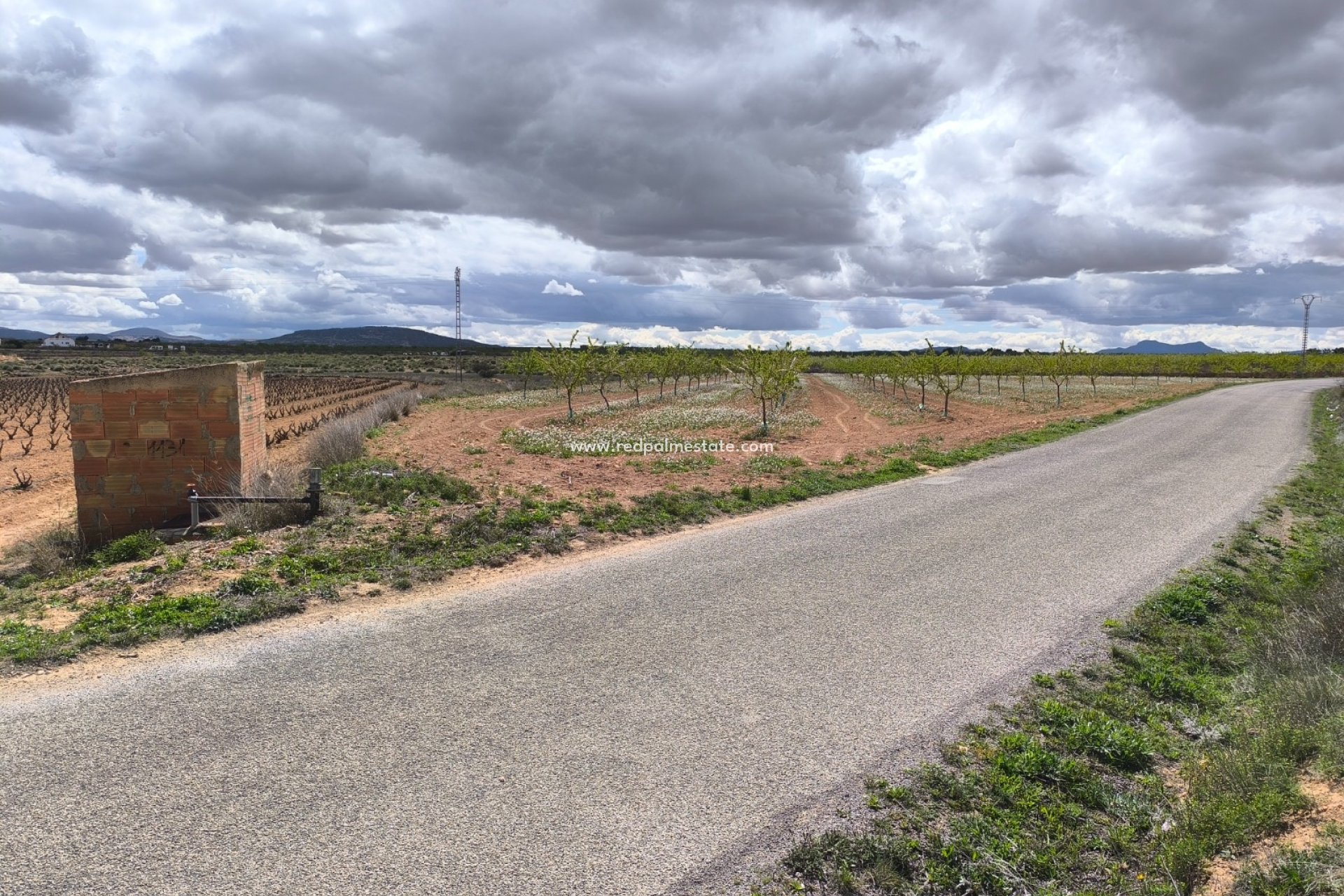 Videresalg - Plott -
Pinoso - Inland