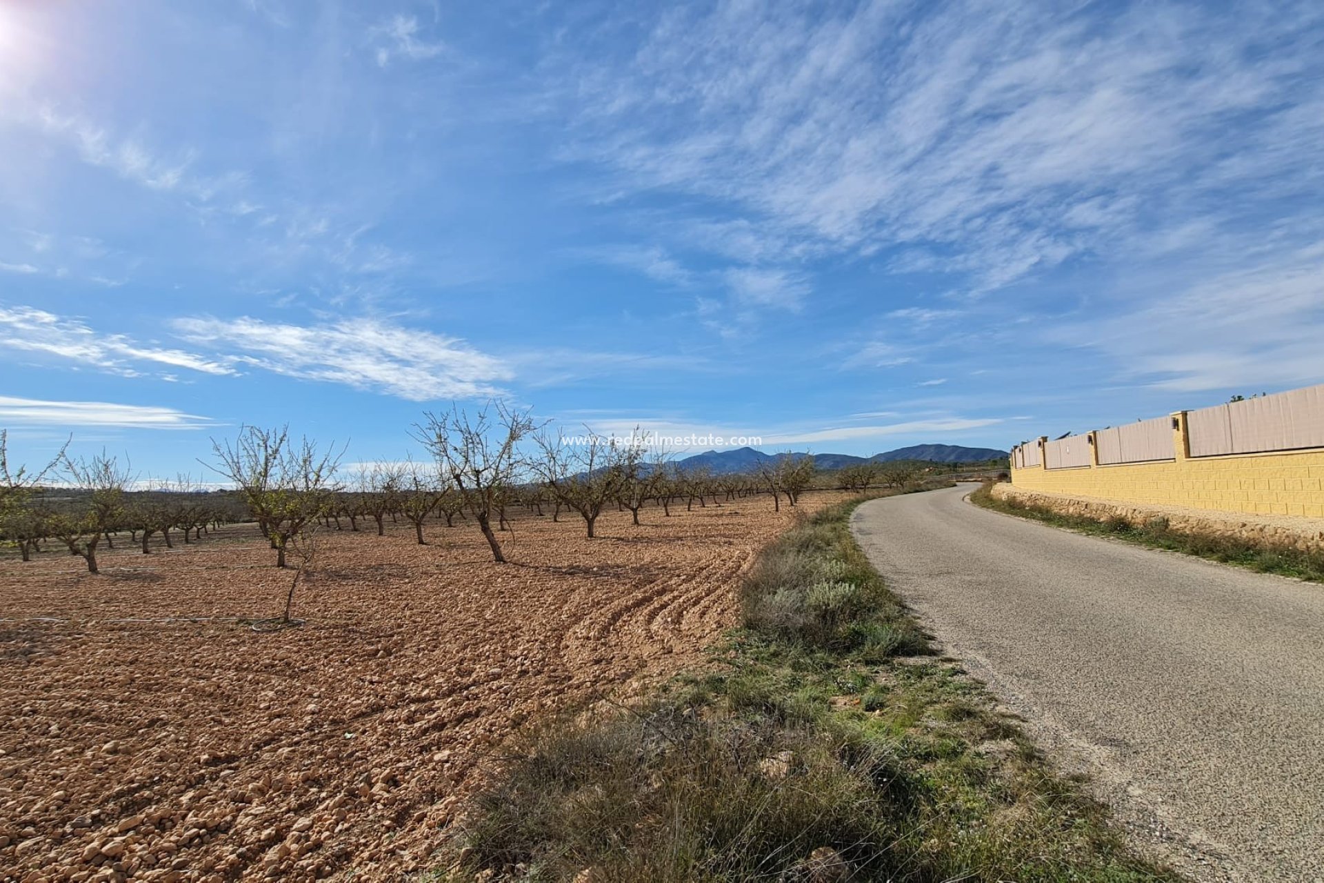 Videresalg - Plott -
Pinoso - Inland
