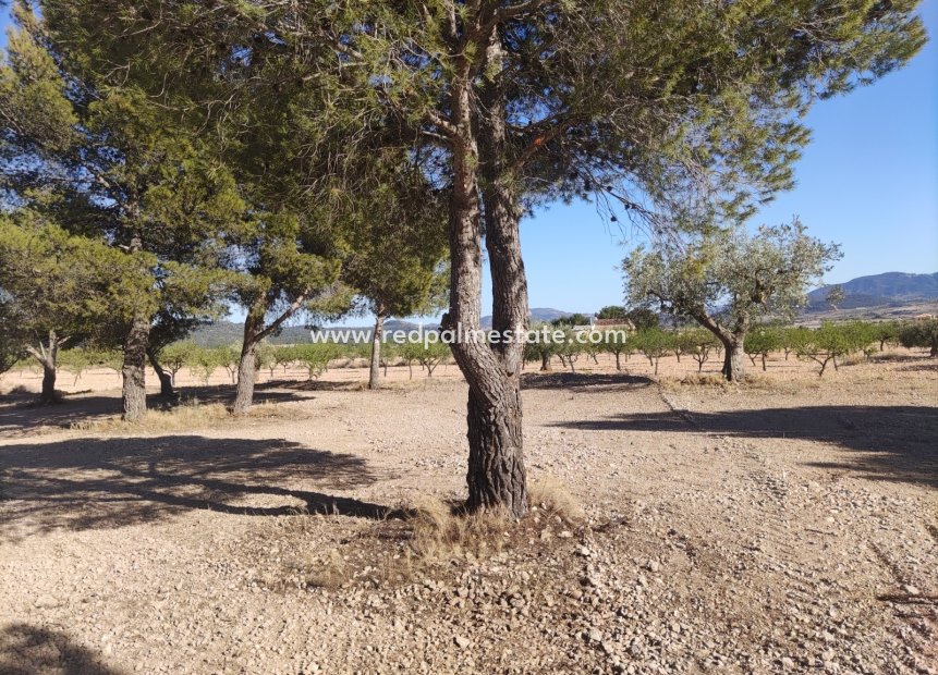 Videresalg - Plott -
Pinoso - Inland