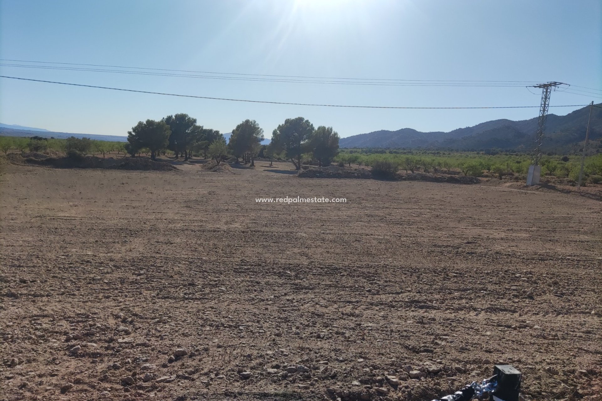 Videresalg - Plott -
Pinoso - Inland