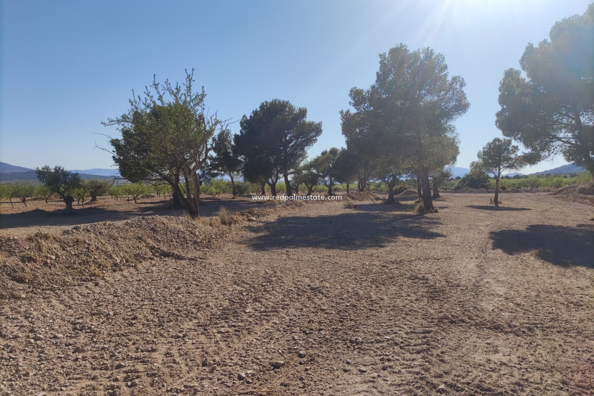 Videresalg - Plott -
Pinoso - Inland