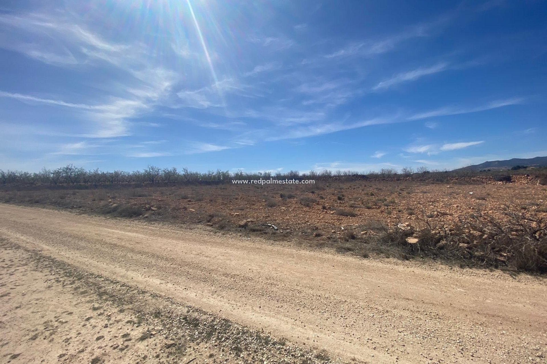 Videresalg - Plott -
Pinoso - Inland