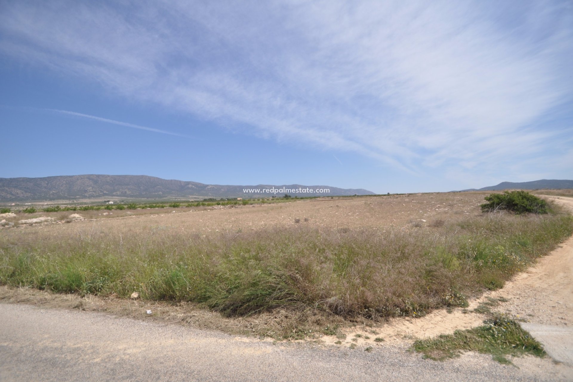 Videresalg - Plott -
Pinoso - Inland