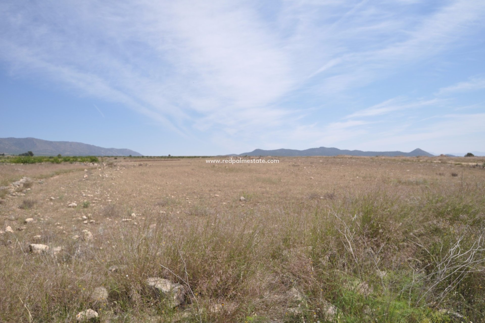 Videresalg - Plott -
Pinoso - Inland