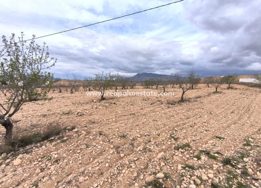 Videresalg - Plott -
Pinoso - Inland