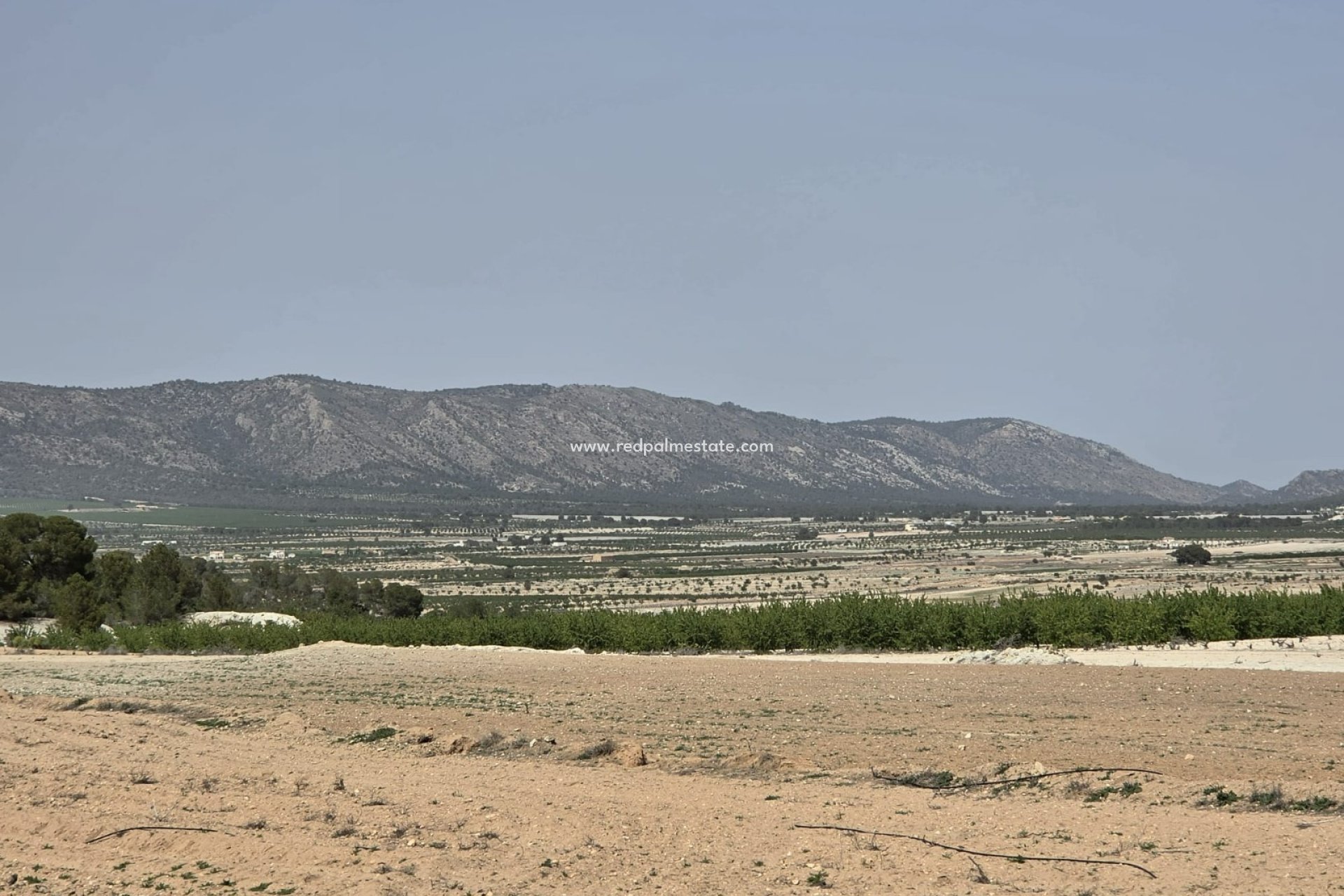 Videresalg - Plott -
Pinoso - Inland