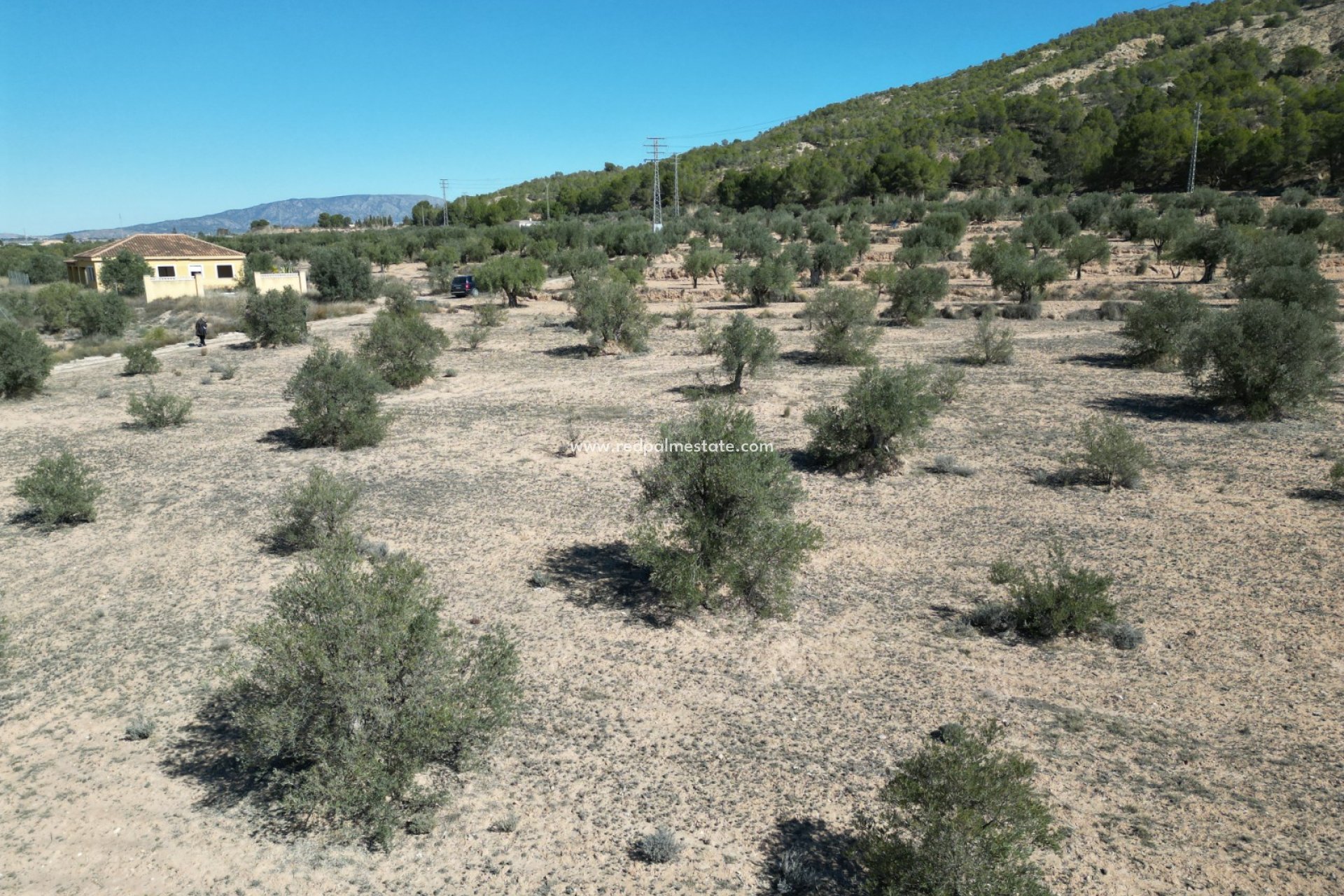 Videresalg - Plott -
Pinoso - Inland