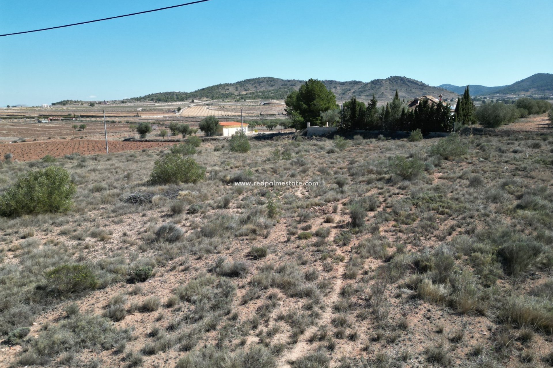 Videresalg - Plott -
Pinoso - Inland