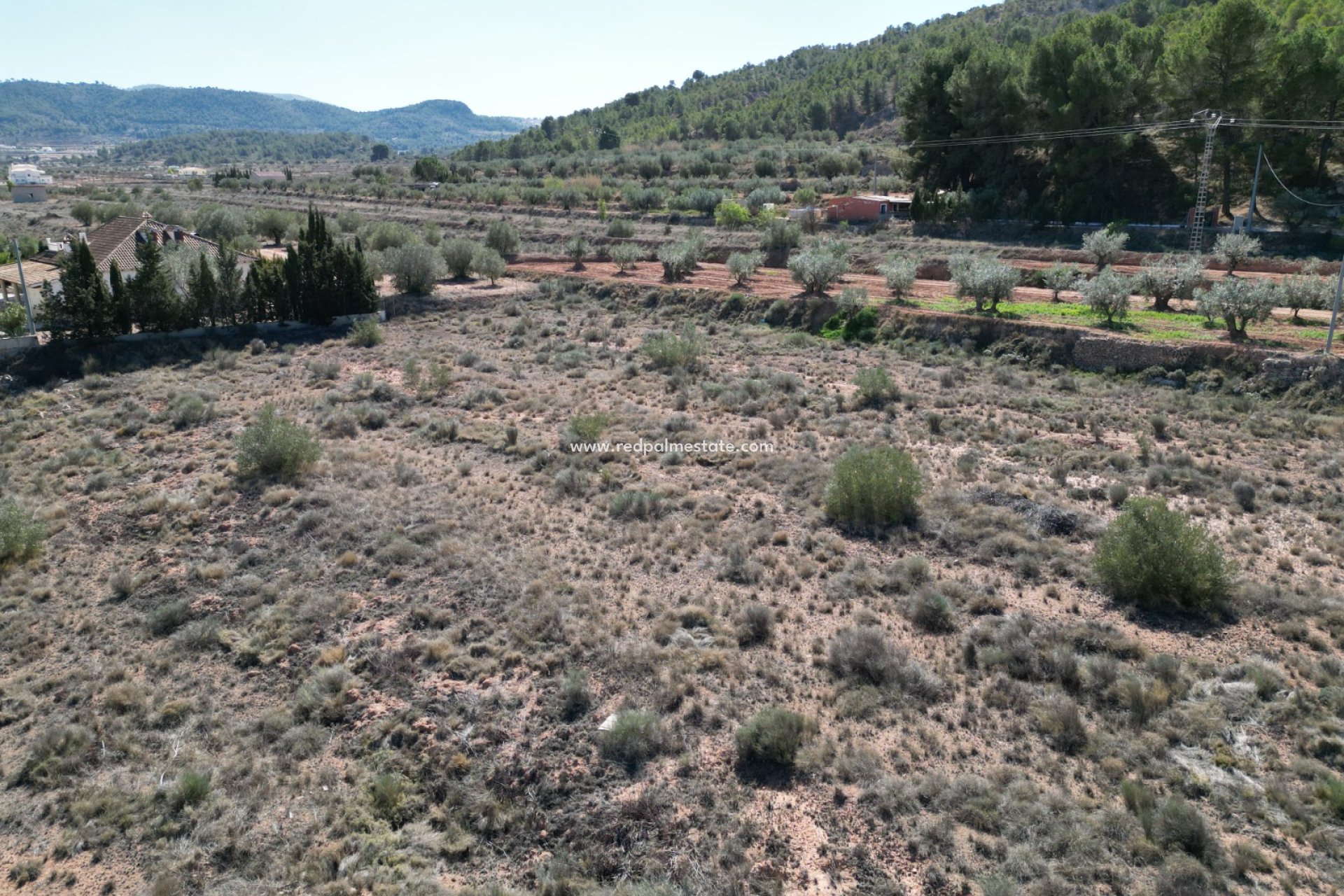 Videresalg - Plott -
Pinoso - Inland