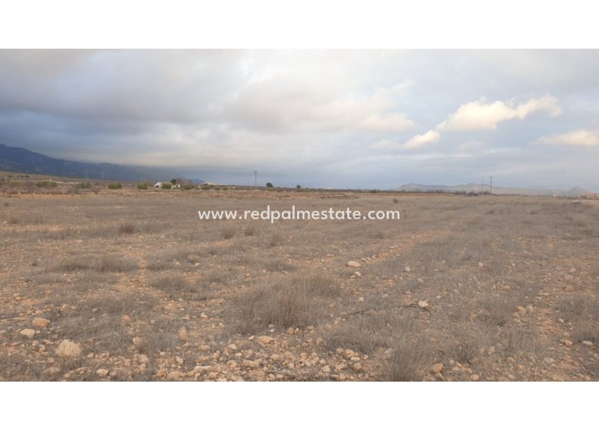 Videresalg - Plott -
Pinoso - Inland