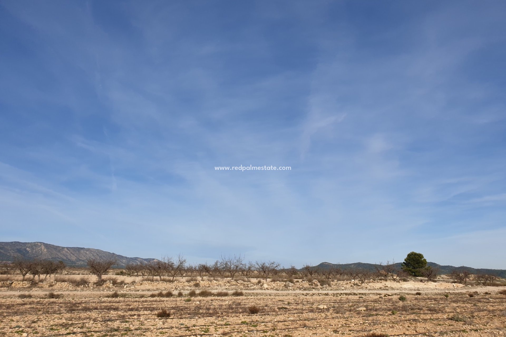Videresalg - Plott -
Pinoso - Inland