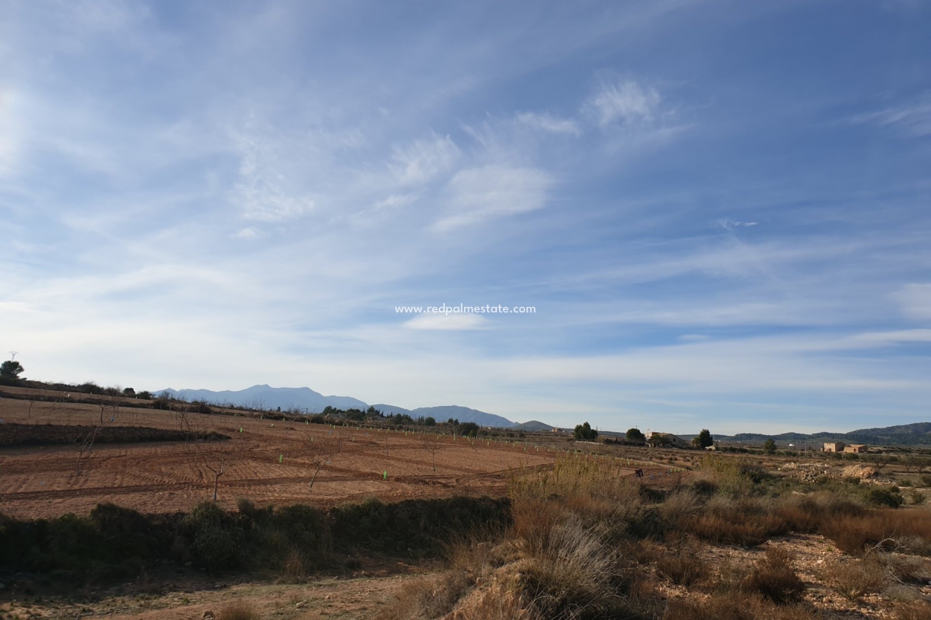 Videresalg - Plott -
Pinoso - Inland