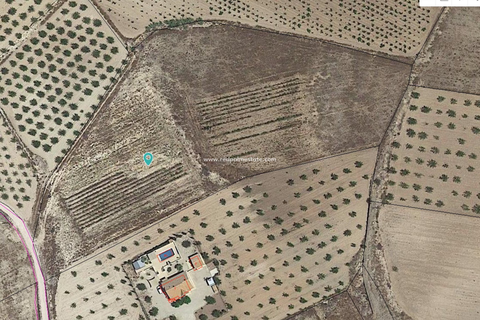 Videresalg - Plott -
Pinoso - Inland