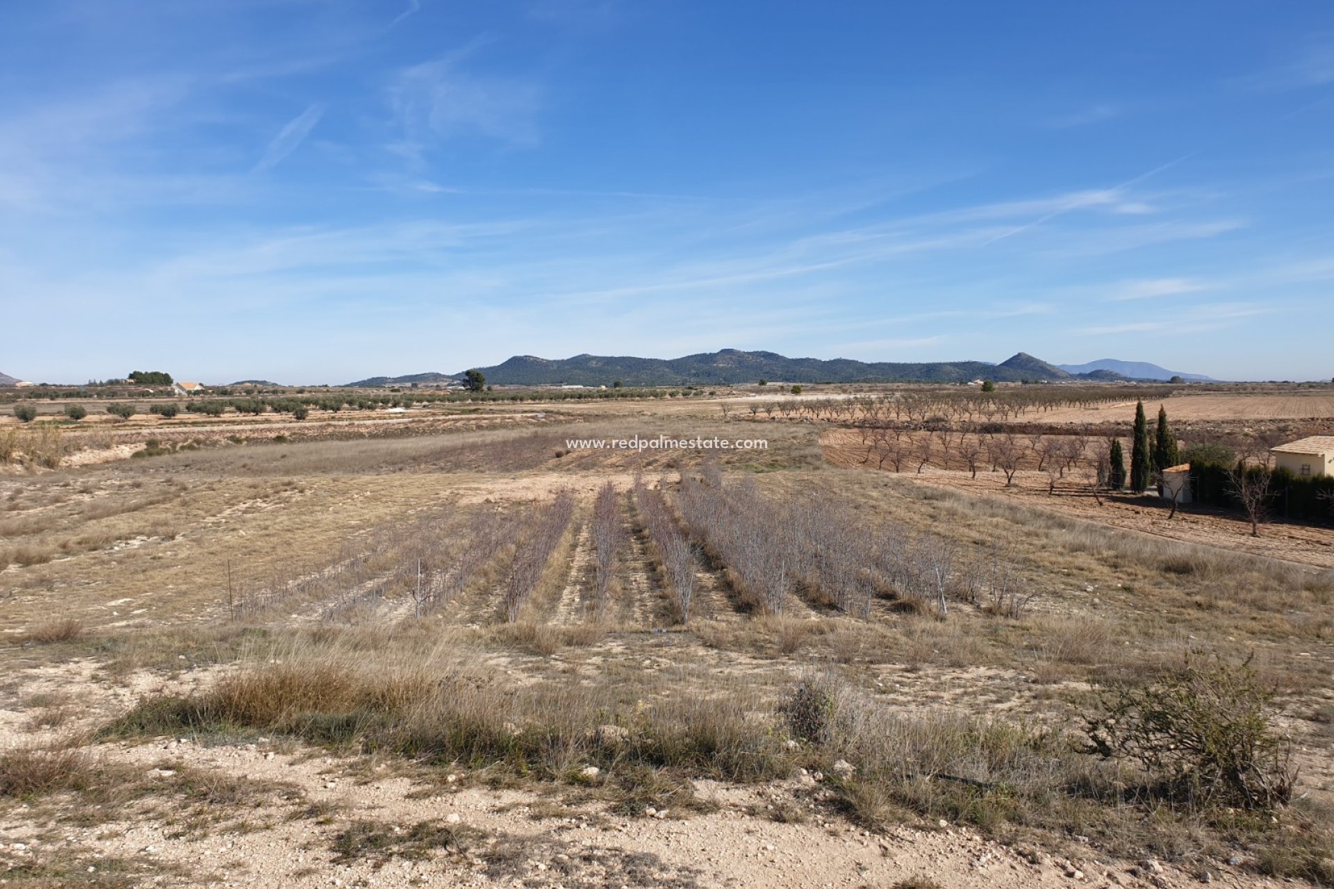 Videresalg - Plott -
Pinoso - Inland