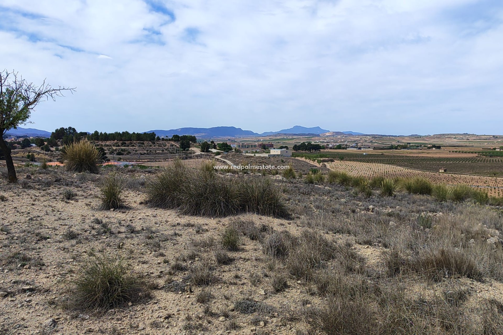 Videresalg - Plott -
Pinoso - Inland