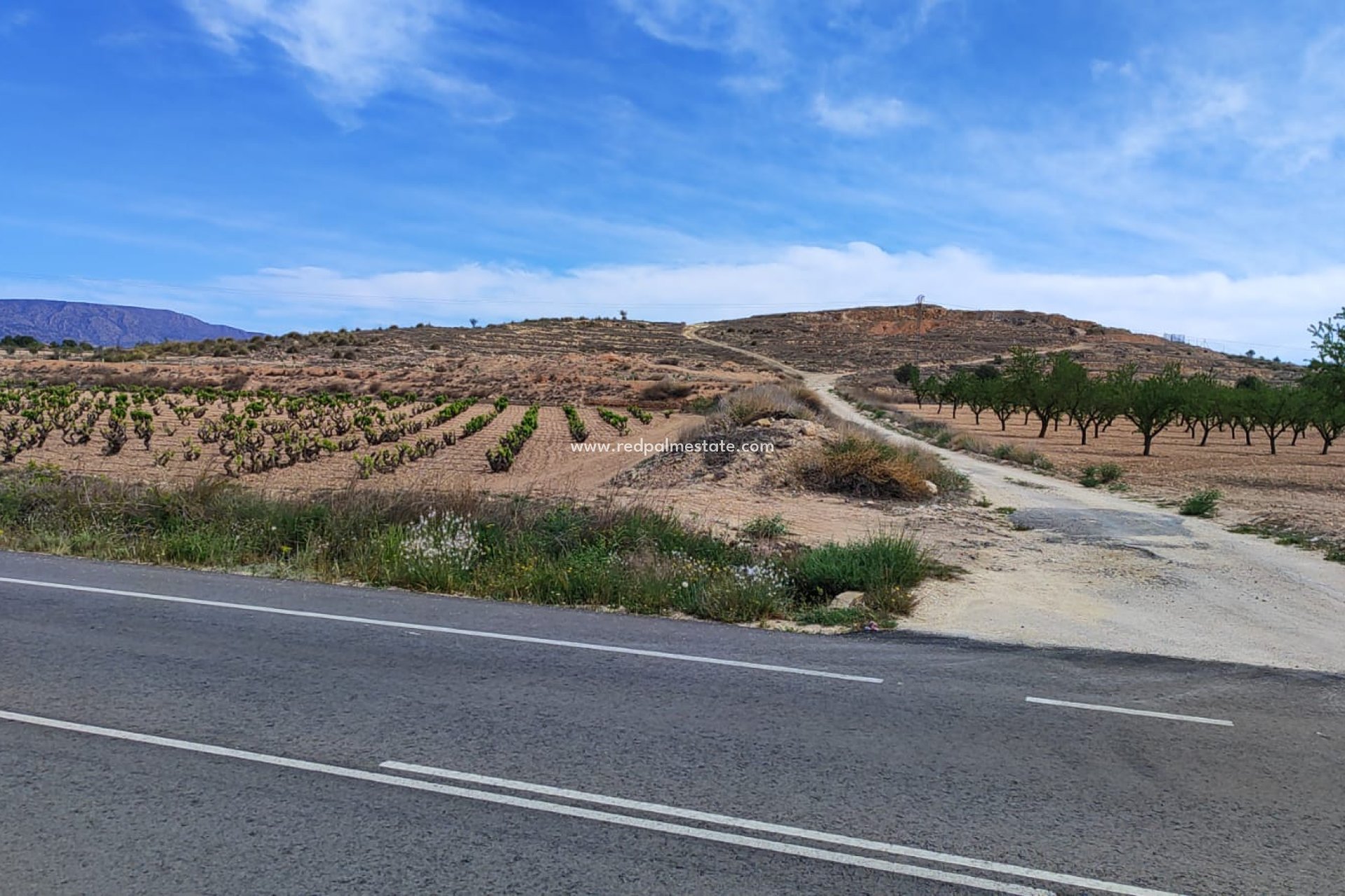 Videresalg - Plott -
Pinoso - Inland