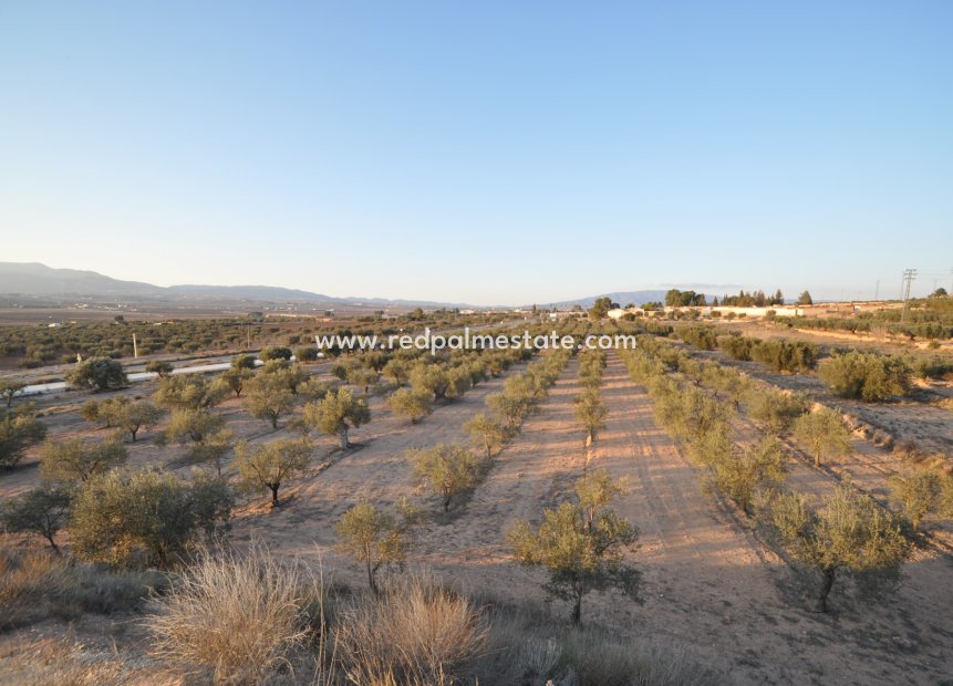 Videresalg - Plott -
Pinoso - Inland