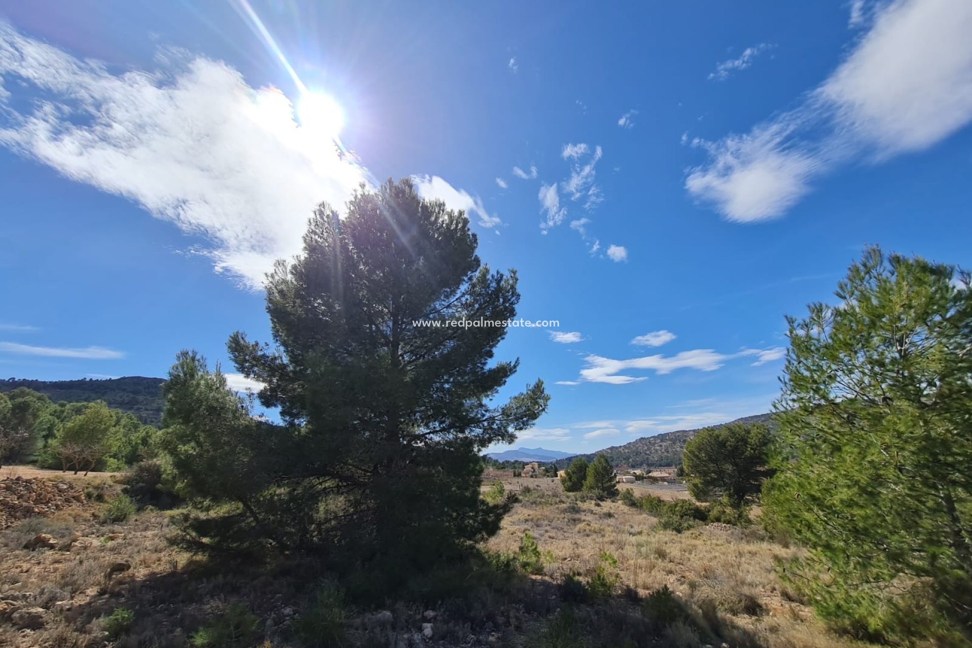 Videresalg - Plott -
Pinoso - Inland
