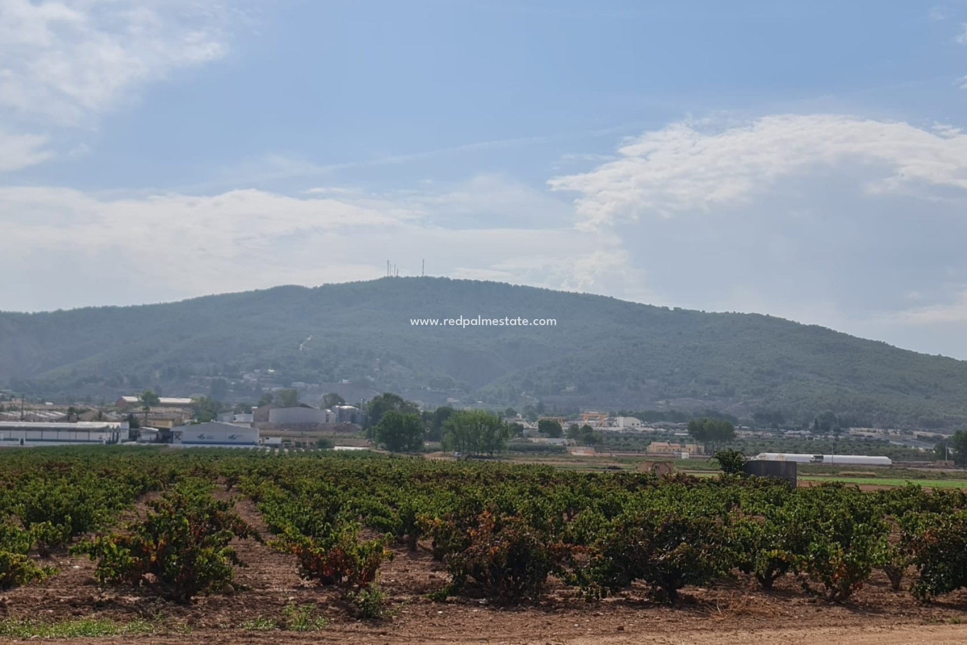 Videresalg - Plott -
Pinoso - Inland