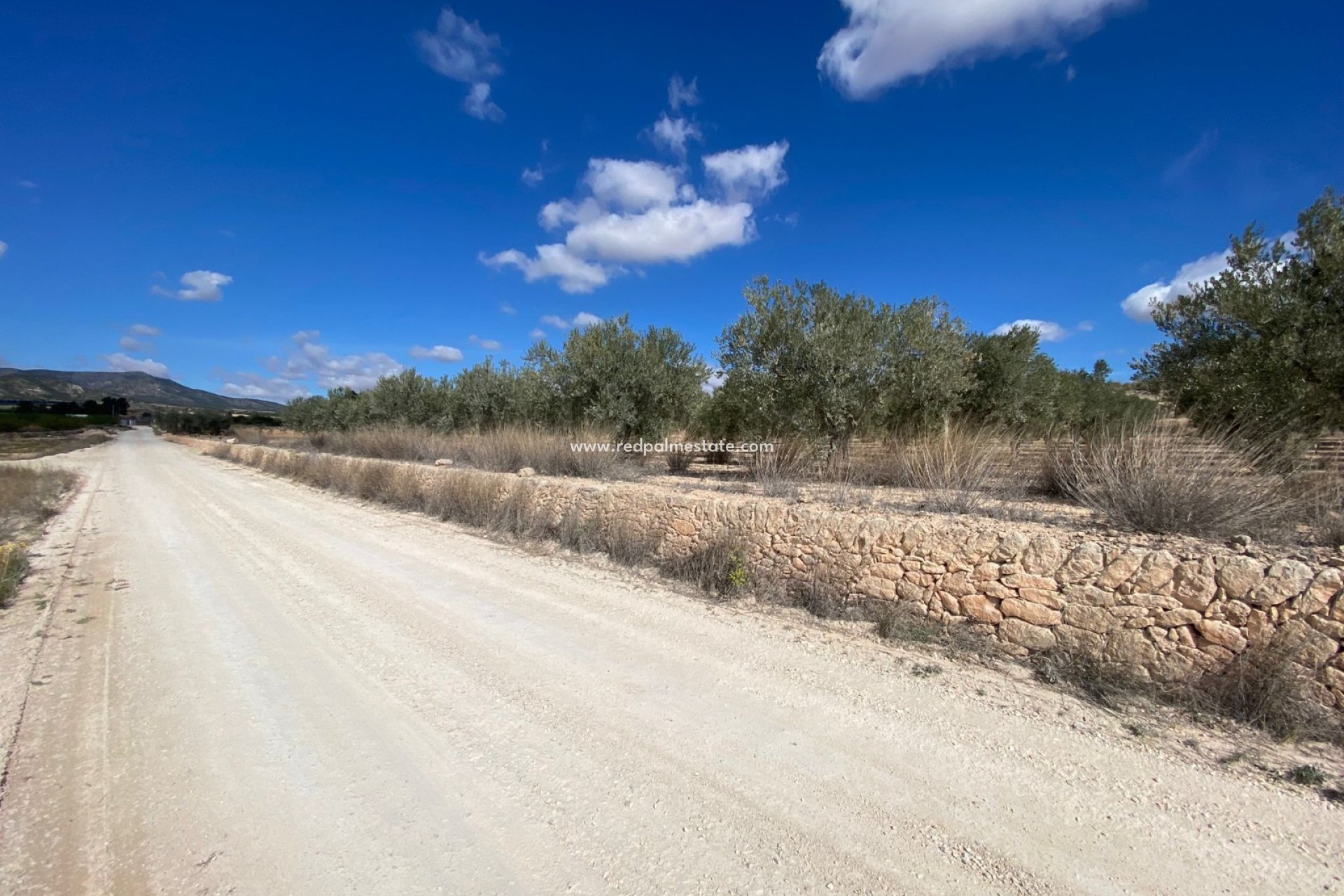 Videresalg - Plott -
Pinoso - Inland