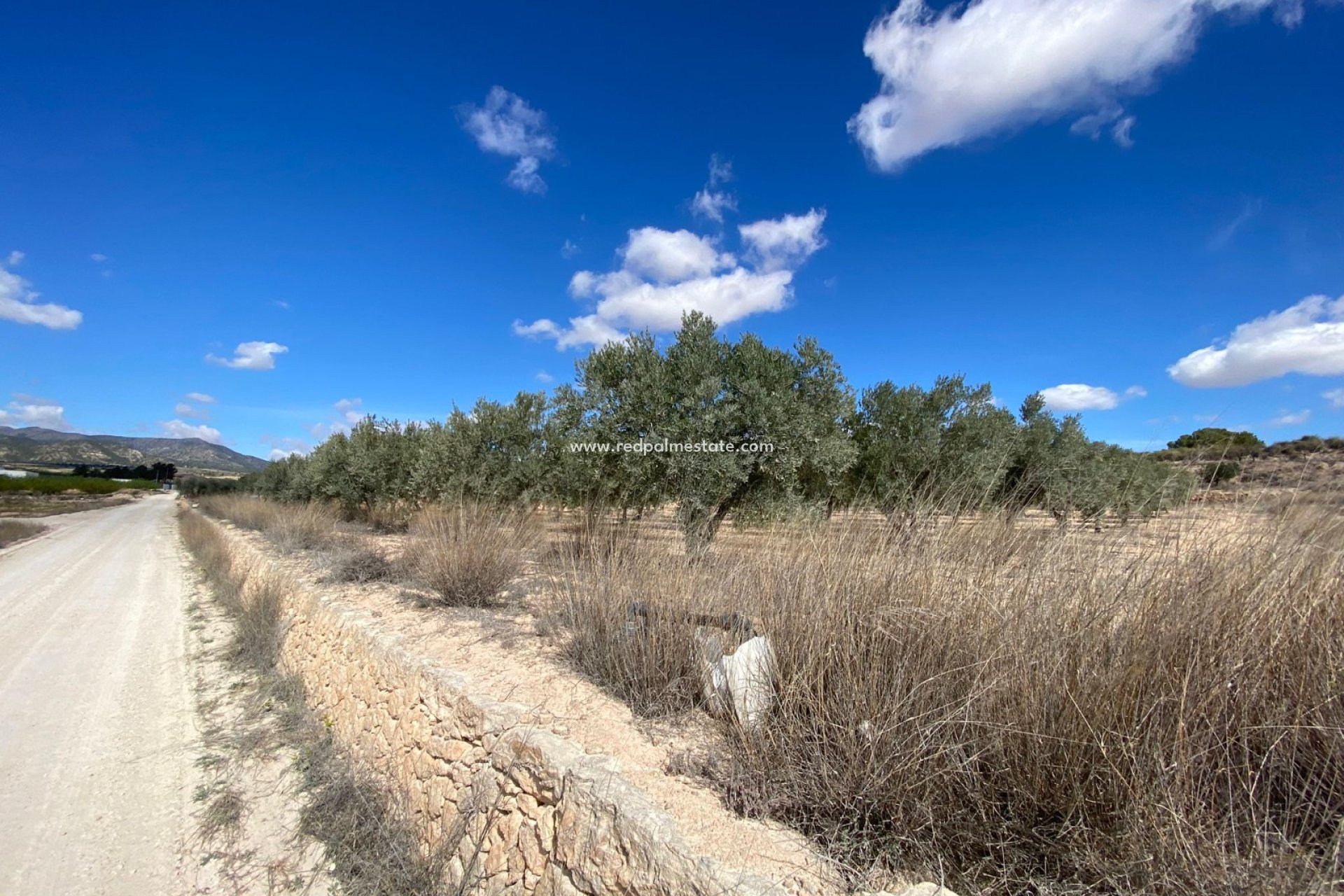 Videresalg - Plott -
Pinoso - Inland